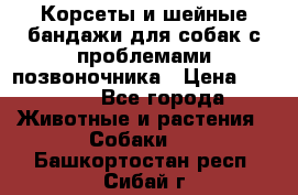 Корсеты и шейные бандажи для собак с проблемами позвоночника › Цена ­ 2 500 - Все города Животные и растения » Собаки   . Башкортостан респ.,Сибай г.